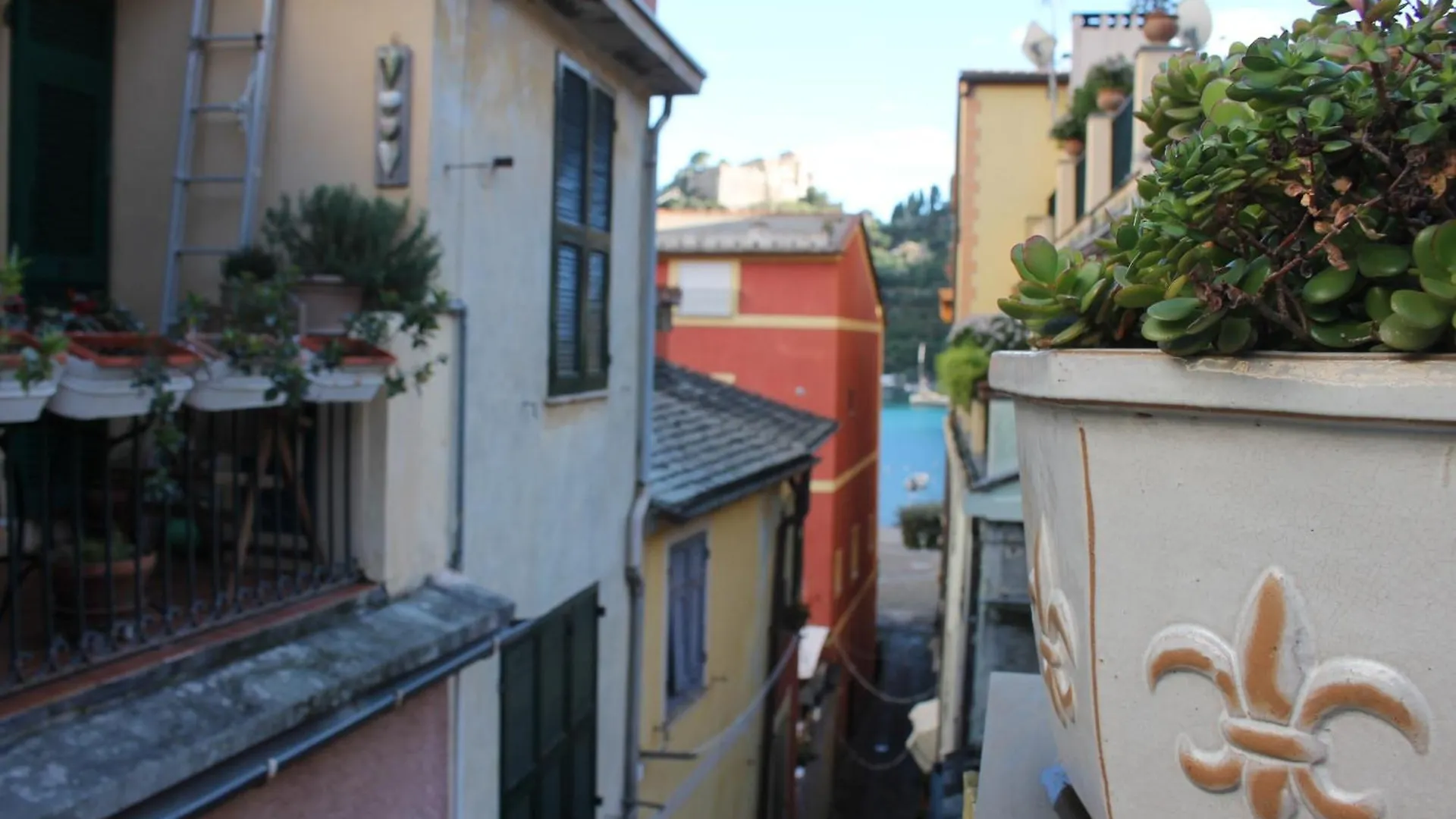 Portofino'S Cozy Terrace Apartment Portofino