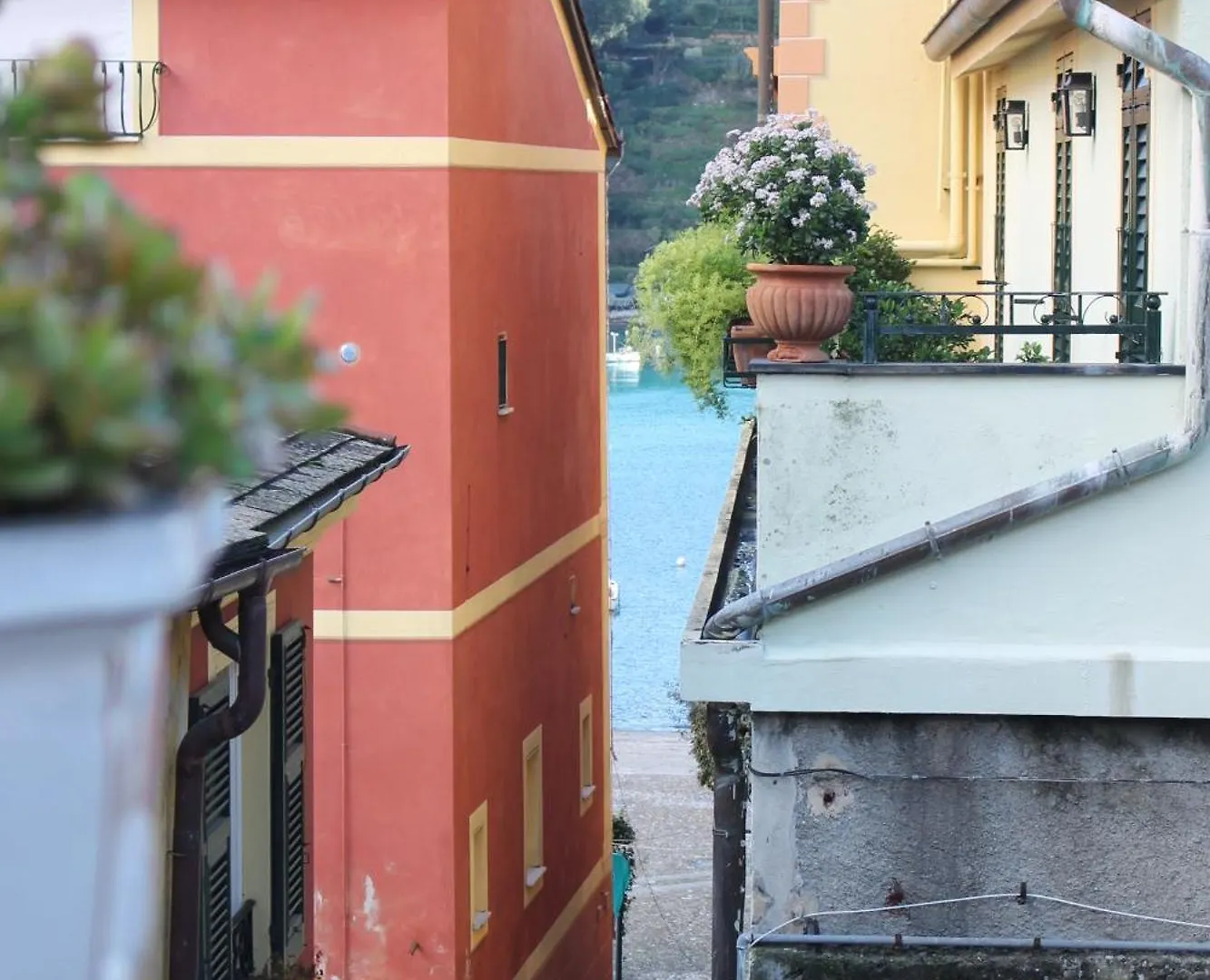 Portofino'S Cozy Terrace Apartment  Portofino